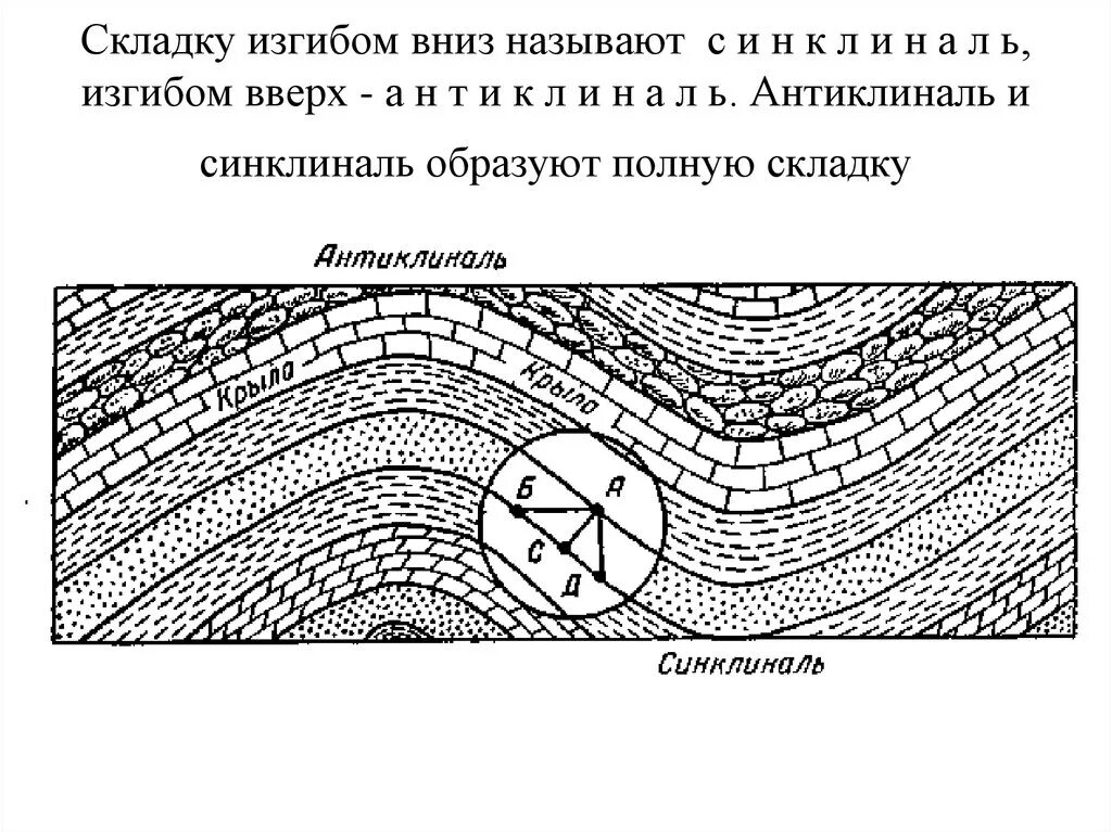 Антиклиналь синклиналь моноклиналь. Антиклинальные и синклинальные складки. Антиклинальная складка Геология. Антиклиналь это в геологии.