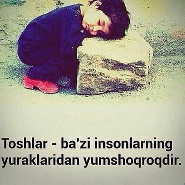 Dost sherlar