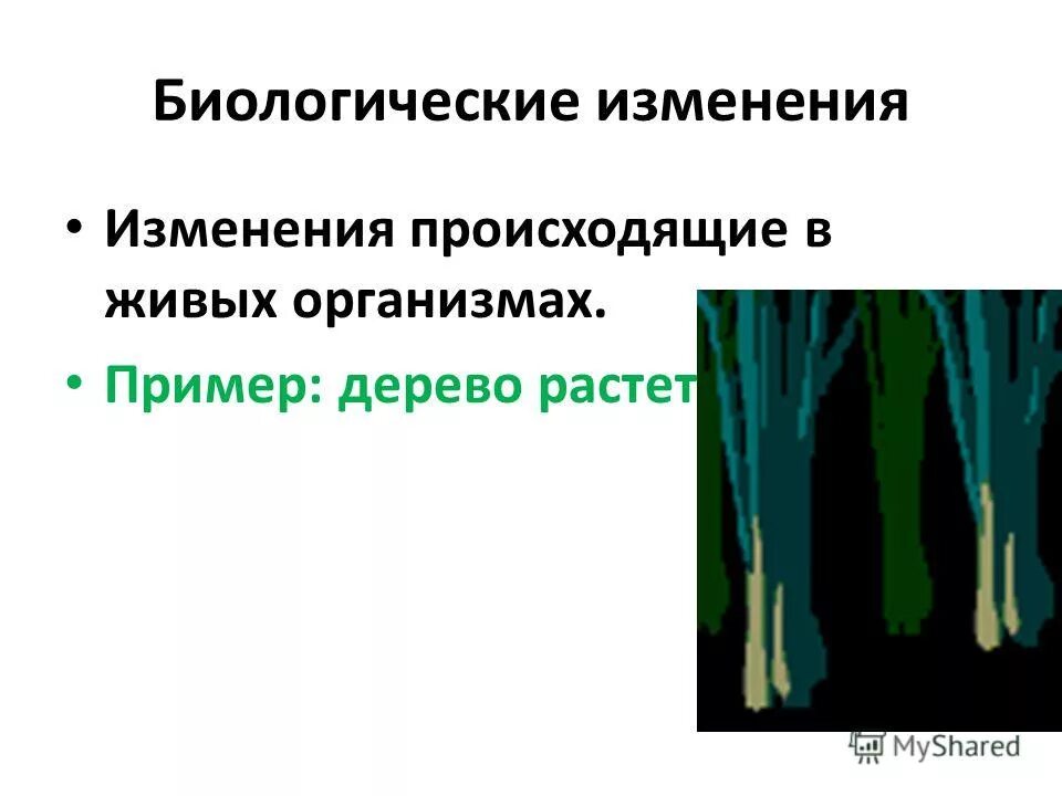 Примеры биологических изменений. Биологические явления природы. Биологические явления примеры. Биологические природные явления примеры. Биологические и физиологические явления природы.