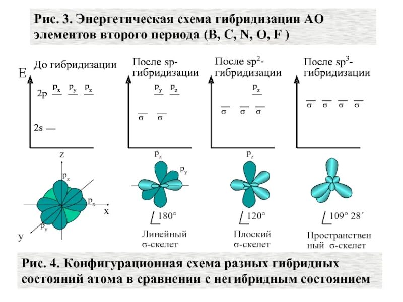 Последовательность гибридизации. Как определить Тип гибридизации углерода. Тип гибридизации углеродных атомов. Схема гибридизации. Гибридизация в органической химии.