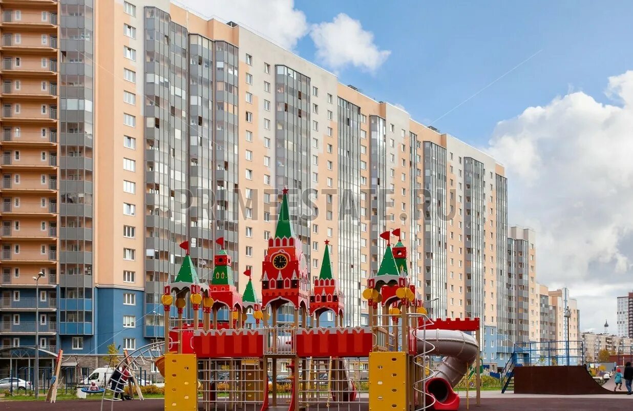 Коллонтай 5. Улица коллонтай 51. коллонтай 51 санкт петербург.