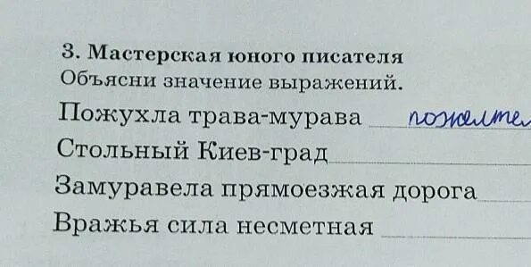 Что значит пожухла. Значение слова пожухла. Слово пожухлый. Пожухнуть. Значение слова мурава