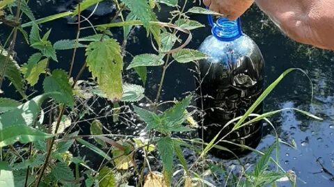 Вода чернела