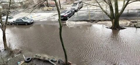 Расстреляла в брянске