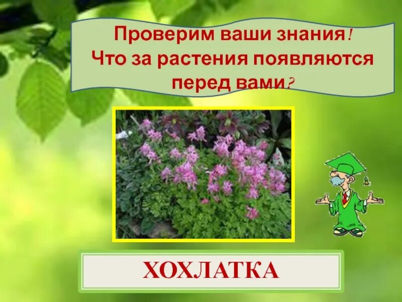 Весеннее Пробуждение растений 2 класс перспектива. Весеннее Пробуждение растений презентация. Весеннее Пробуждение растений 2 класс презентация. Весеннее Пробуждение растений 2 класс перспектива презентация. Весеннее пробуждение растений тест