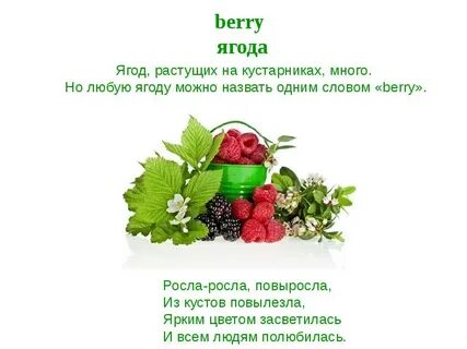 Ягода привычка