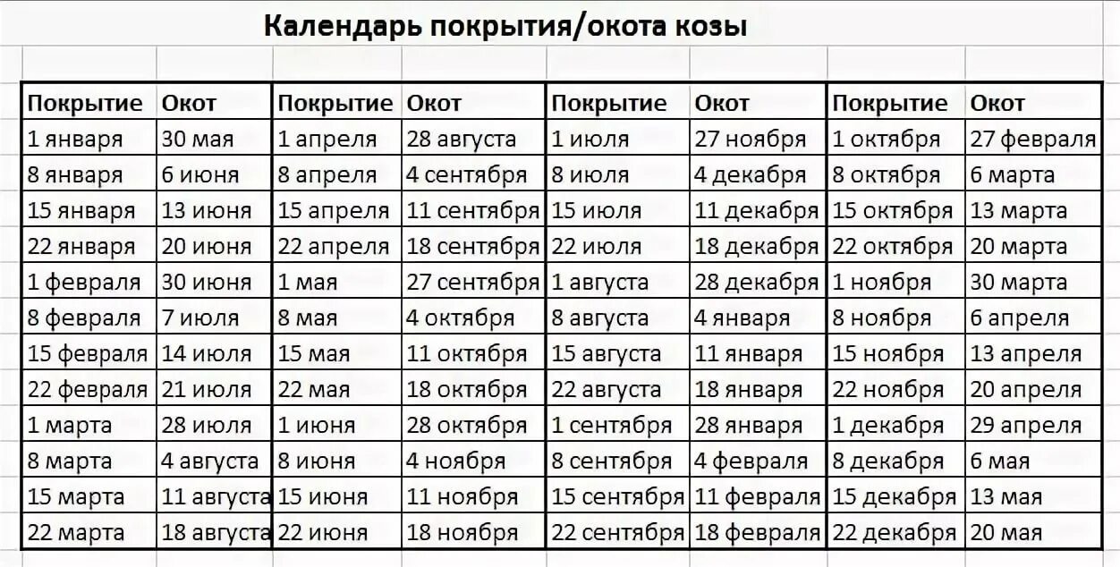 Календарь дней от даты до даты. Календарь беременности коз таблица. таблица окотов у коз. календарь окота козы таблица. сроки окота коз таблица.