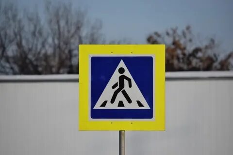 Дорожные знаки возле школ