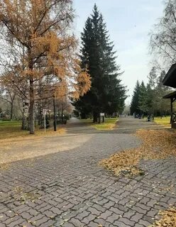 Студенческую осень