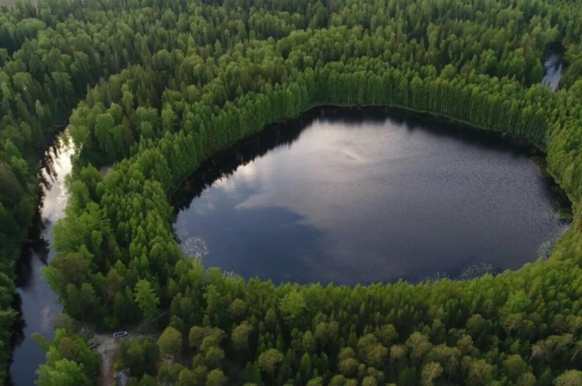 Заповедник малая сосьва растения. Заповедники хмао малая сосьва. Река северная сосьва. Природный заповедник "малая сосьва". Река малая сосьва.