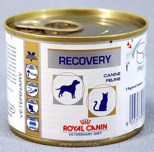 Canin recovery для кошек. Консервы рекавери роял канин. роял канин рекавери для кошек паштет. корм royal canin recovery. роял канин рекавери консервы для кошек.