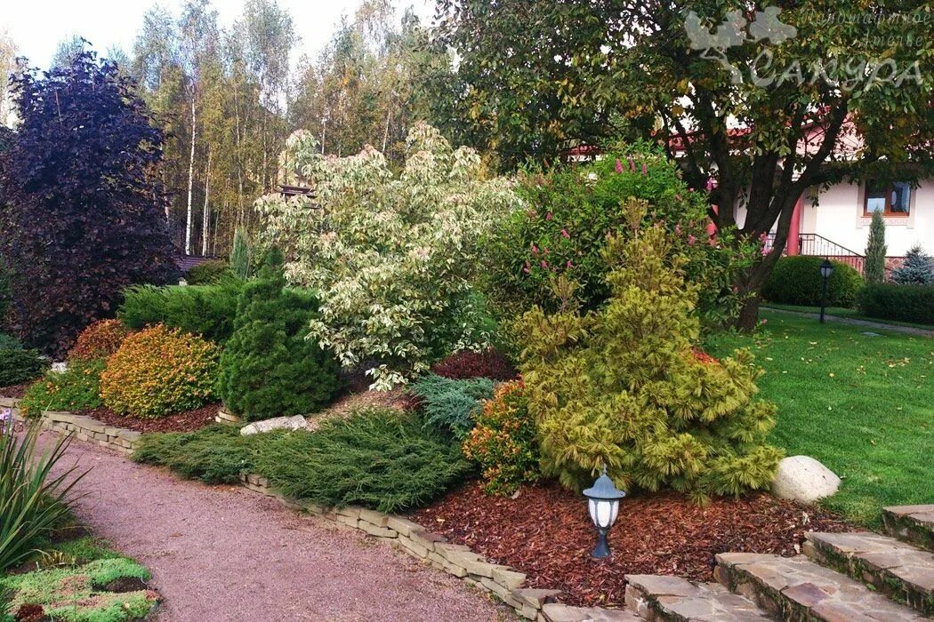 Как облагородить кустарники