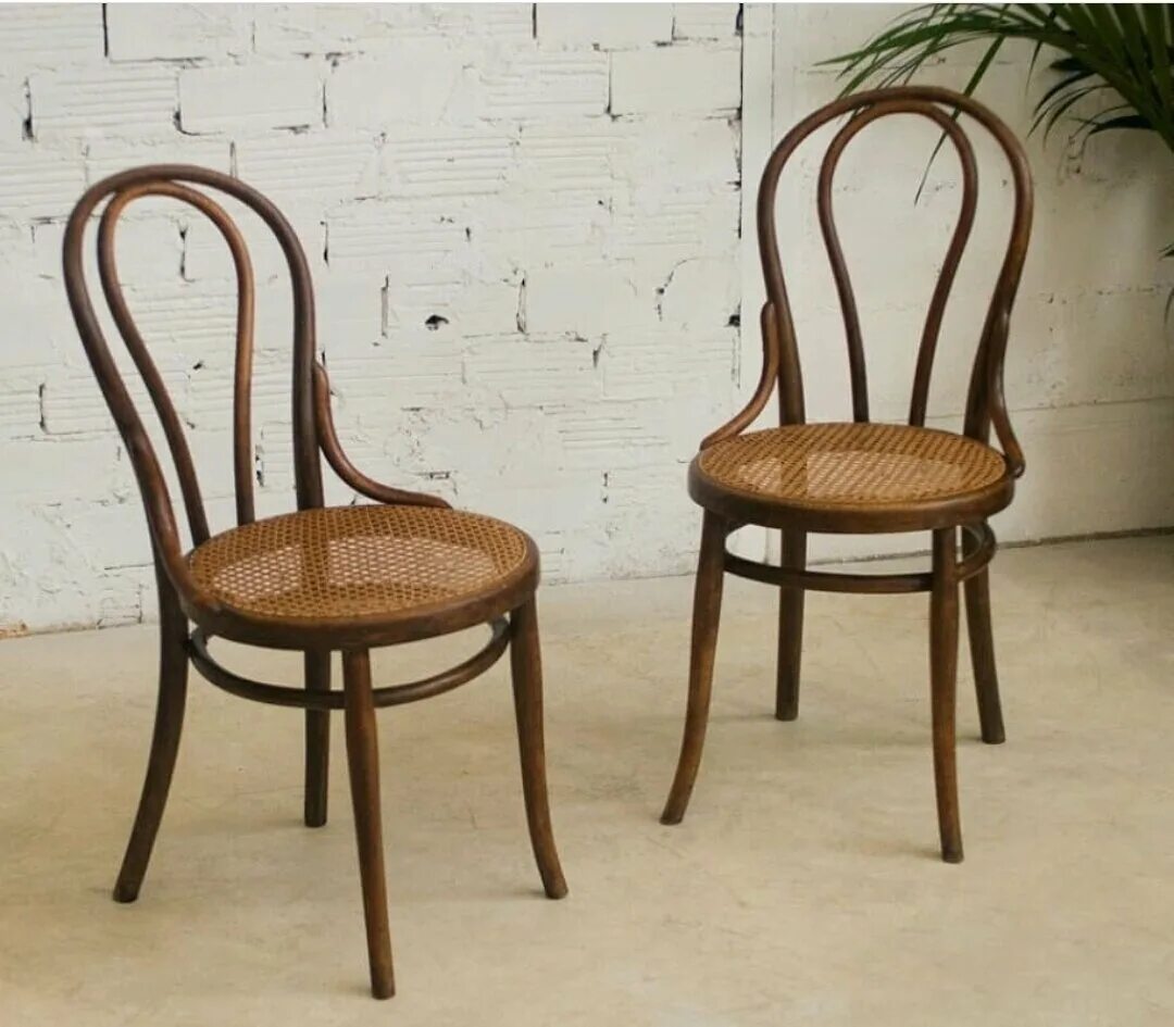 Стул снизу. Венские стулья Thonet. Стул Тонета 14. Венский стул Thonet 18. Венский стул м. Тонета.