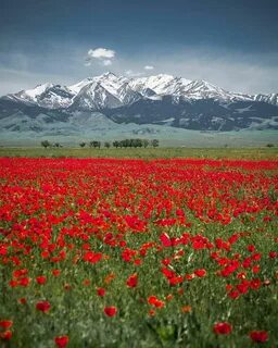 Картинка природа казахстана