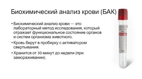 Провокации перед анализом