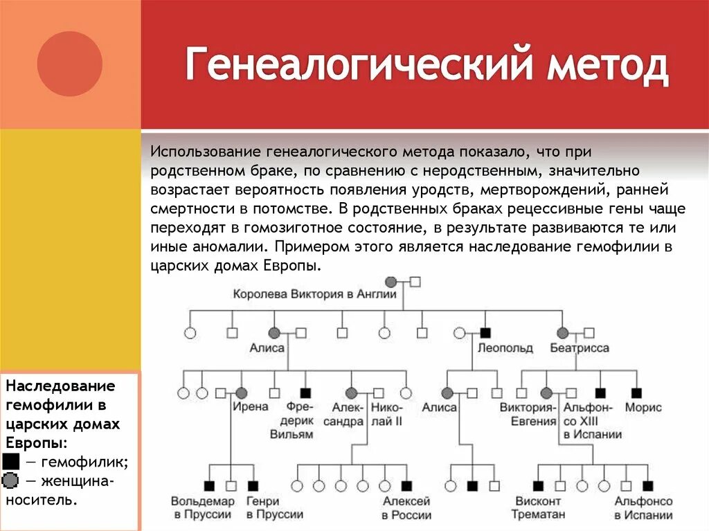 Генеалогический метод исследования используется. Генеалогический метод наследование гемофилии. генеалогический родословная генетика. составление родословной генеалогический метод. генеалогический метод исследования таблица.