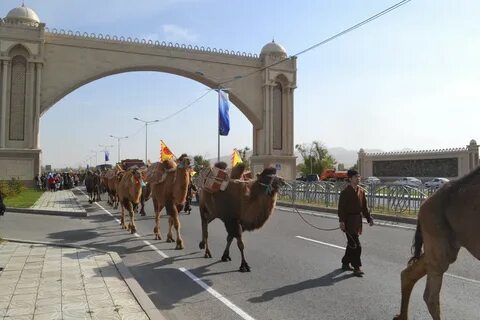 Тараз тур