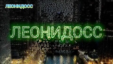 24 подписчика