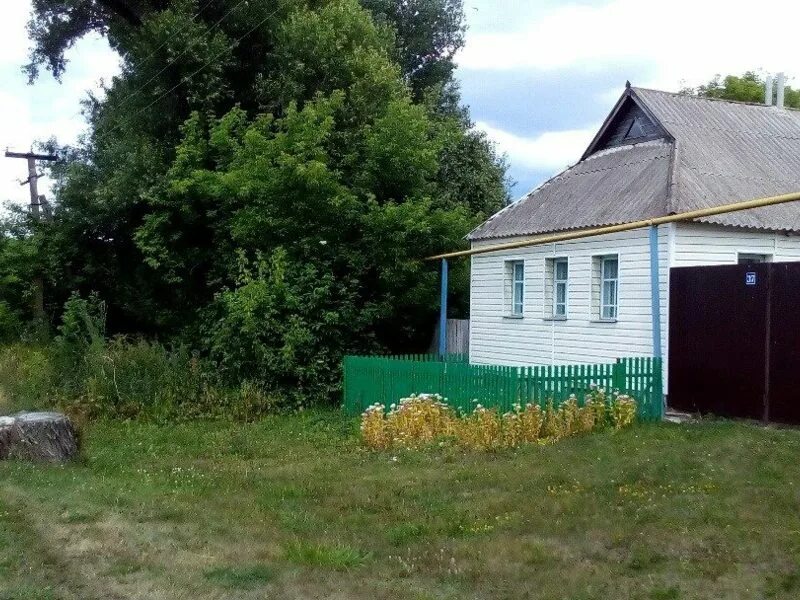 Мальцевка Корочанский район. Село Мальцевка Корочанского района Белгородской области. Село Клименково. Село Песчаное Белгородская область Корочанский район. Дома в короче белгородской области