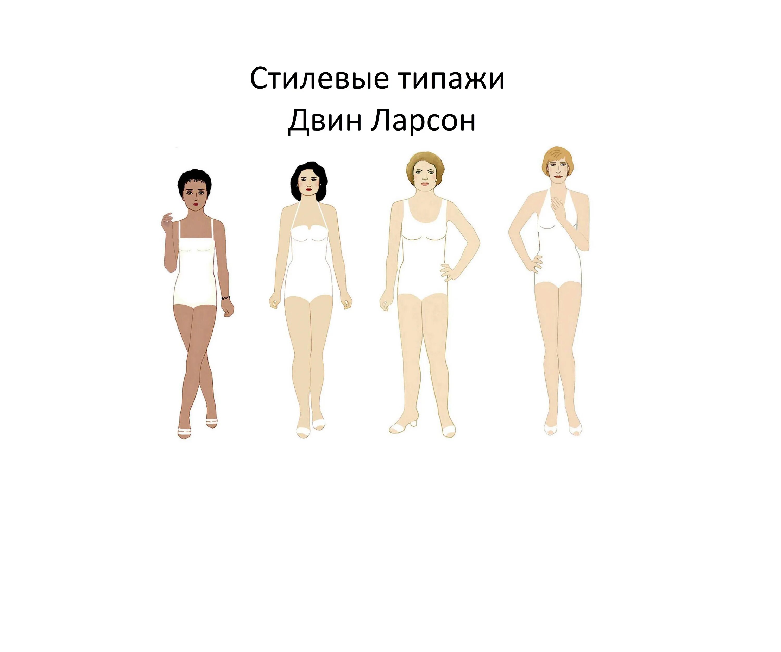 Что такое типаж. Типажи двин ларсон. двин ларсон фотороботы. типажи ларсон фигуры. двин ларсон 4 типажа.