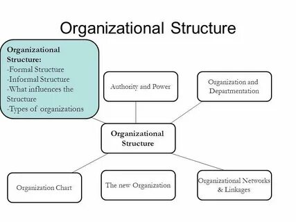 Organization but