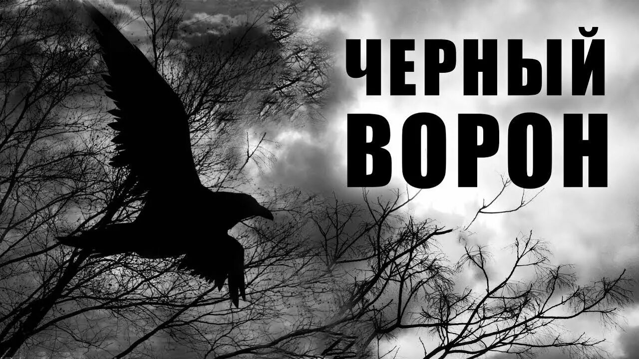 Русские народные песни черный ворон. Черный ворон. Чёрный ворон песня. Иллюстрация к песне черный ворон. Черный ворон Автор.