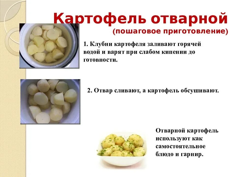 Можно есть сырой картофель. Технология приготовления картофеля отварного. Картофель отварной технология приготовления. Приготовление блюд из картофеля задания. Пошаговое приготовление отварного картофеля.