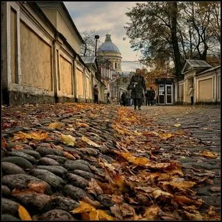 В позднюю осень старик заметил