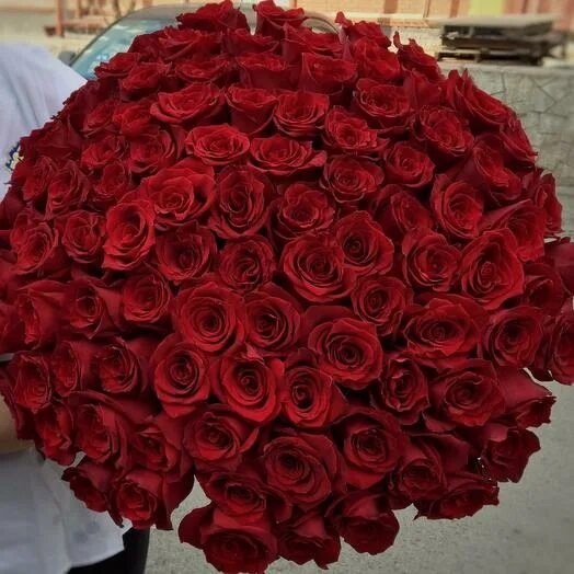 75 Красных роз (70 см.). 3000 Роз красных. Розы высотой 70 см. Розы 70 см купить