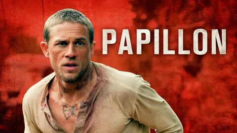 Papillon 2017