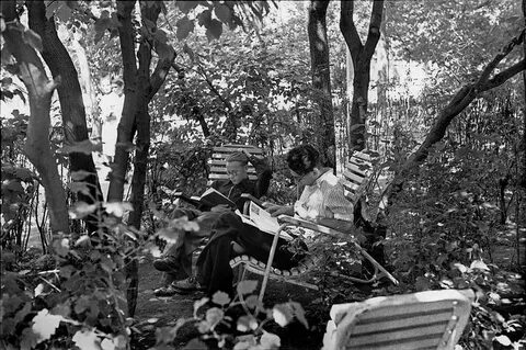 Жизнь в 1954