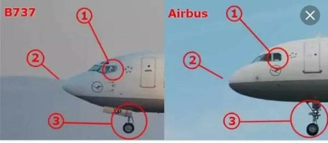 Боинг 737 и аэробус а320. Как отличить боинг от airbus. Боинг и эйрбас отличия. Airbus a321 самолёты airbus industrie. Как отличить boeing от airbus внешне.