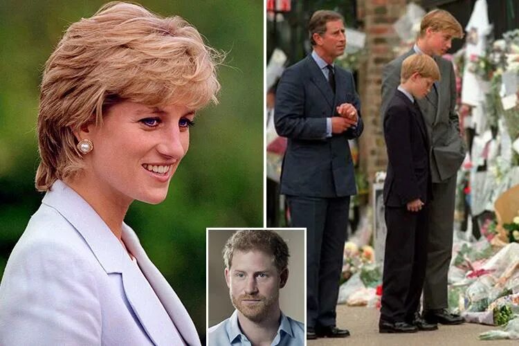 Конюх дианы спенсер. Дети принцессы дианы сейчас. Тренер дианы. Тренер дианы. Галя цепилова.