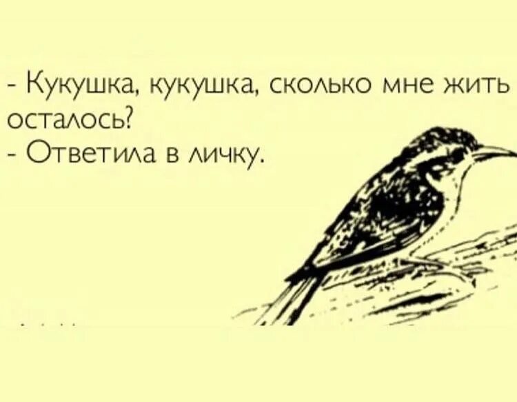 Уровень 83 птичка проспала попробуй встряхнуть. Шутки про сов и Жаворонков. Шутки про сову и жаворонка. Совы и Жаворонки. Сова и Жаворонок юмор.