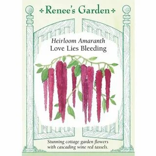 Love lies bleeding