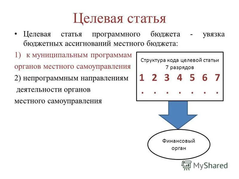 целевая статья местного бюджета