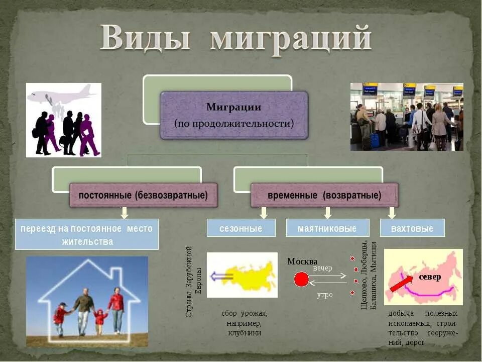 Миграция и ее виды. Схема миграции населения в России. Миграция населения РФ причины. Схема миграции населения по географии. Схема миграции населения 8 класс.