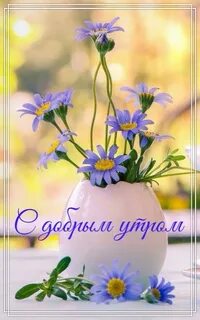 Хорошего дня хорошему человеку картинки красивые