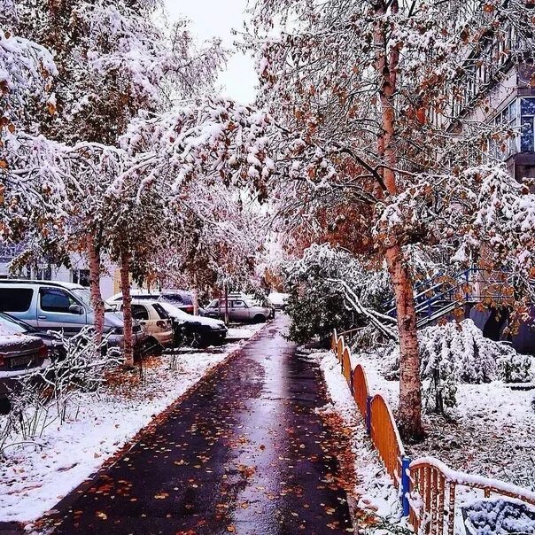Снежное утро город. Зимний покров. Заснеженный город. Зимний снегопад. Зимний день в городе.