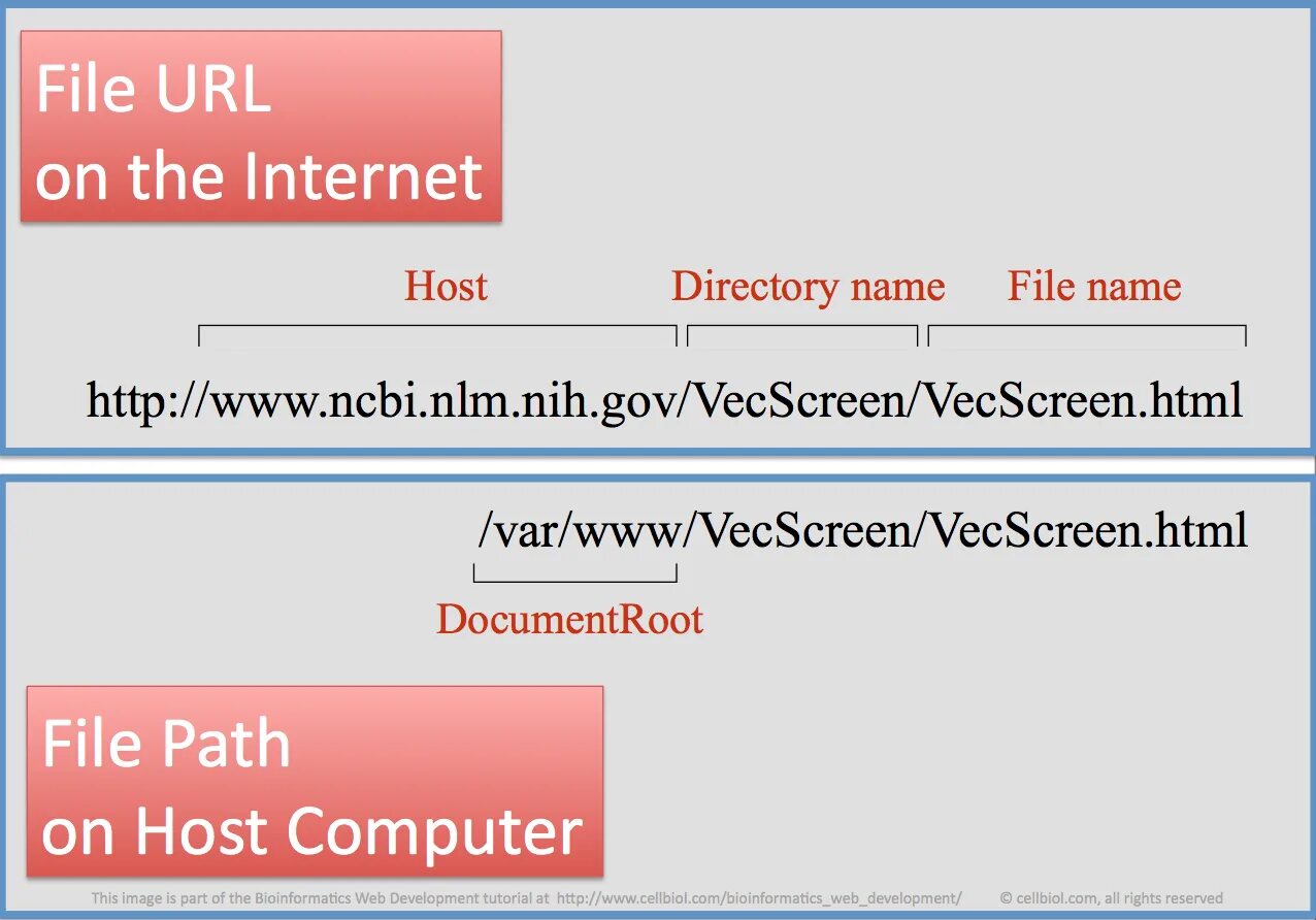 Структура url. Url для сайта что это. Url для сайта что это. Правильная структура url адресов. Url для сайта что это.