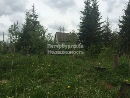Участок снт ручеек