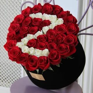 Yosh modellarning samimiy fotosessiyasi