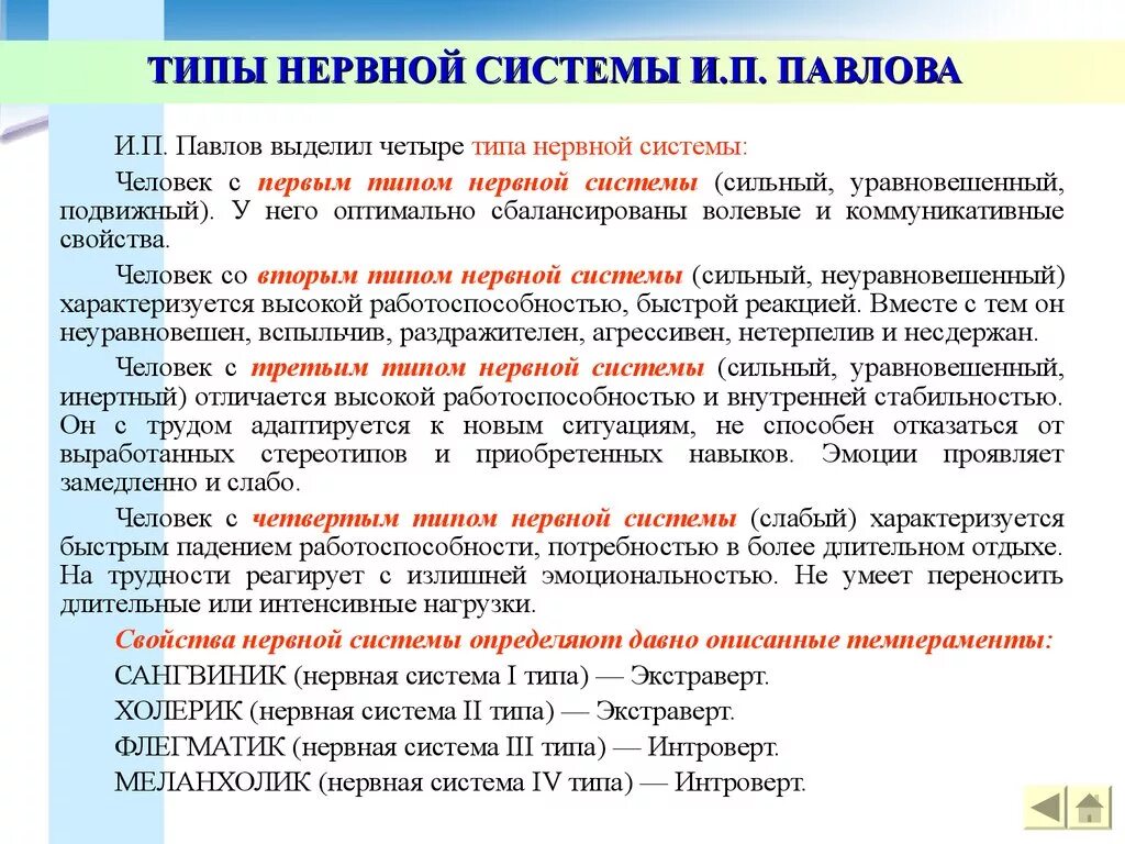 Быстрый тип нервной системы. Типы нервной системы. сильный тип нервной системы. типы нервнойтсиситемы. нервная система человека типы нервной системы.