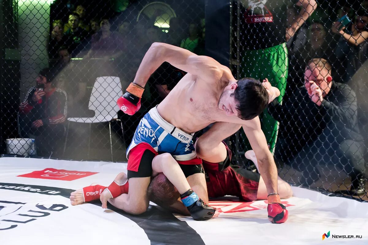 MMA Jang. Обои ММА. Бои без правил слушать