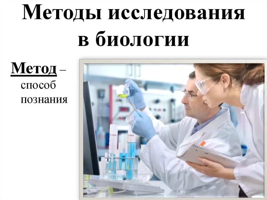 6 методов исследования биологии. Методы исследования в биологии. Биология методы исследования в биологии. Методы исследования в биологии презентация. Современные методы биологии.