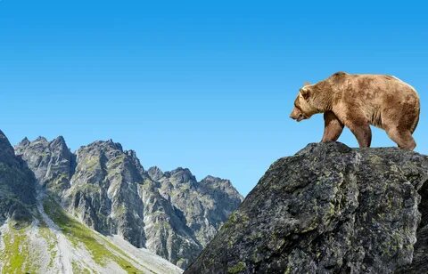 Bear mountain