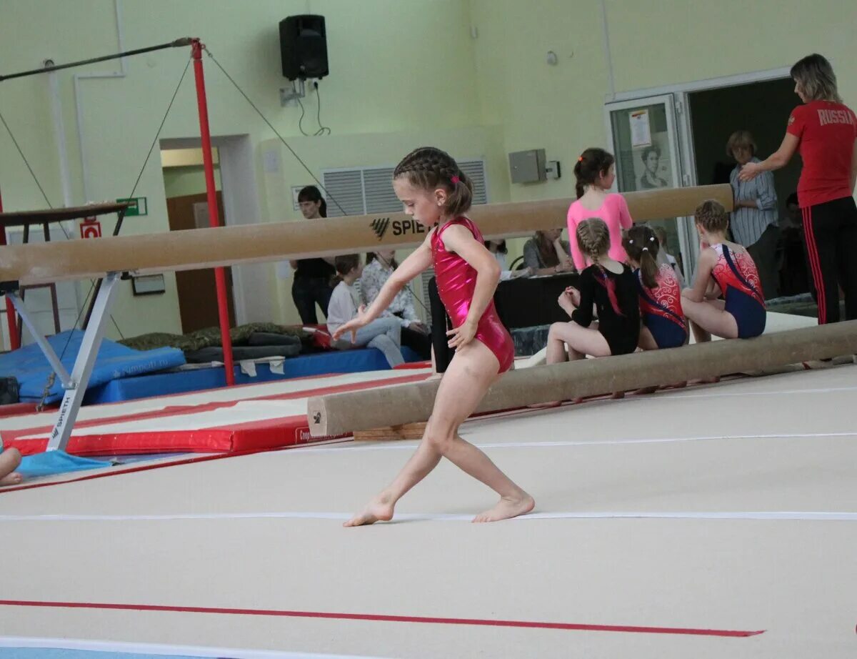 Спортивная гимнастика владивосток. Лидия Калинина (спортивная гимнастика). Спортивная гимнастика Феодосия. Зал для гимнастики с гимнастками. Спортивная гимнастика Первомайск.