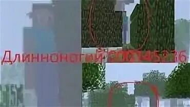 Крипипаста длинноногого