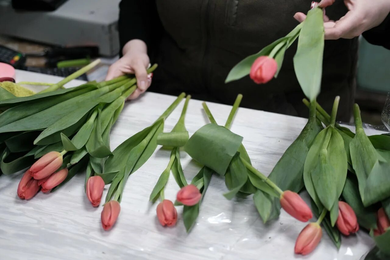 Упаковка тюльпанов. Дарит тюльпаны. Тюльпаны которые дарили. Чтобы тюльпаны дольше сохранились