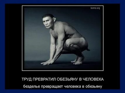 Труд сделал из обезьяны